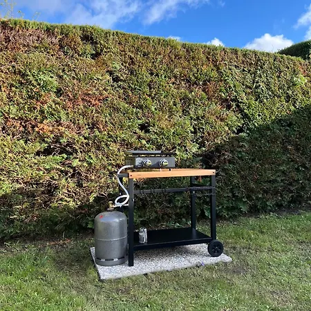 Mauvaise Annonce *